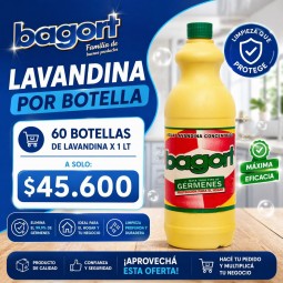 Promo Lavandina 1lt 60...