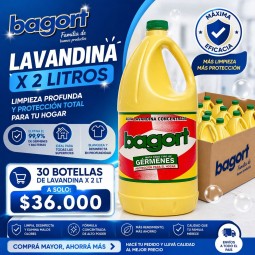 Promo Lavandina 2lt 30...