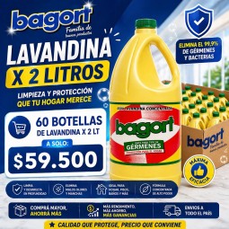 Promo Lavandina 2lt 60...
