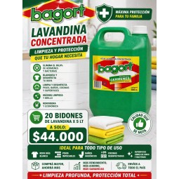 Promo Lavandina 5lt 20 Bidones